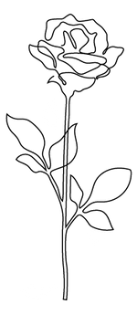 Illustration, Zeichnung einer Rose, die den Abschied bei einer Beerdigung symbolisieren soll - im Dekanat Mannheim